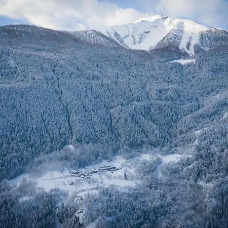 Grand-haury Da Andrea *